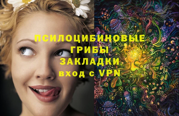 спиды Алзамай