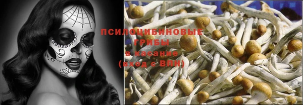 спиды Алзамай
