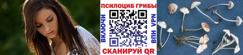 Галлюциногенные грибы ЛСД  ОМГ ОМГ онион  Ува 